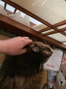 73C6DEB5-5052-4EB7-97D4-2756B5C14C5A