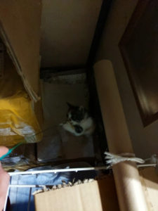 IMG_20190902_224505_exported_1270_1567484161038