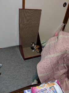 IMG_20190906_225716-756x1008