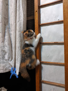 MVIMG_20190910_233901