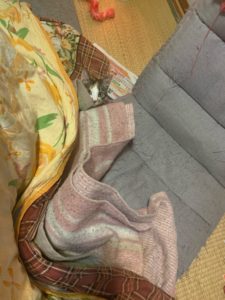 B6A50754-69EE-48E5-A6B8-B5E4E04304B7