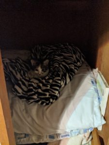 IMG_20191206_233326-756x1008