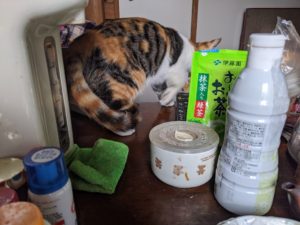 IMG_20191207_112416-1008x756